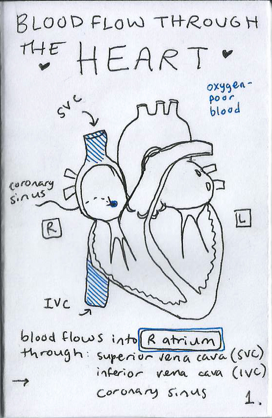 zine