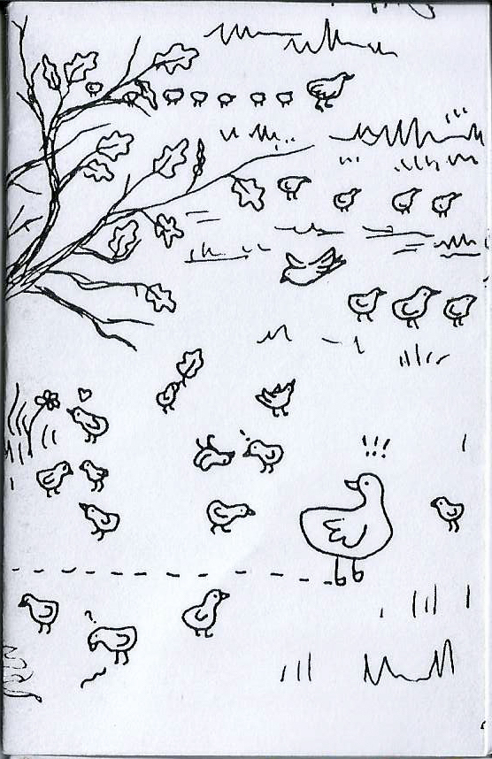 zine